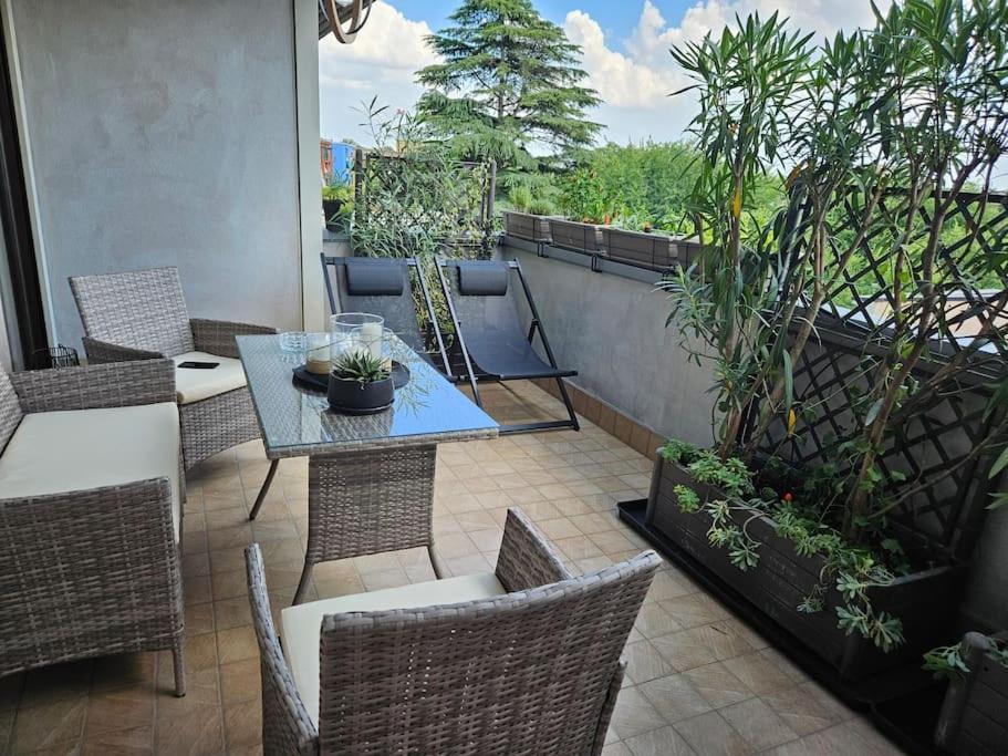 Joy - Luxury * Verona