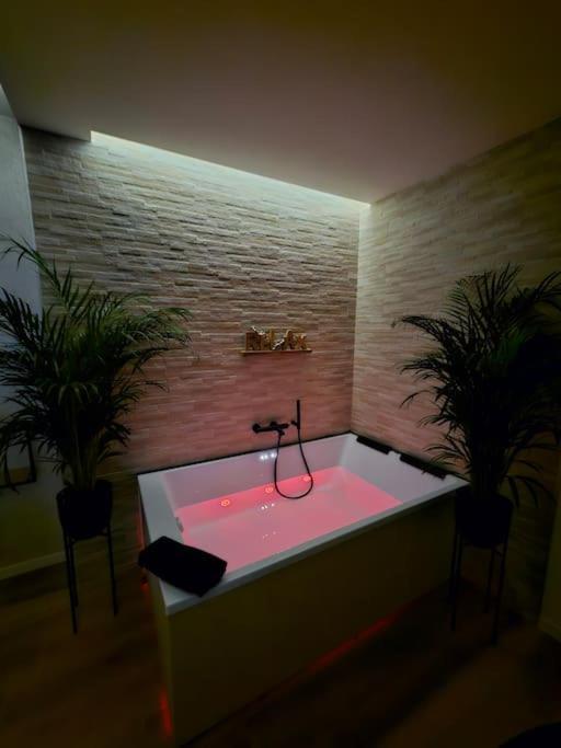 Joy - Luxury